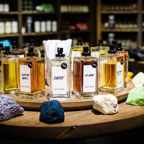 Photo by Trung Do Bao on Unsplash