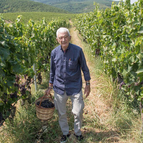 Ο Γιάννης Μπουτάρης στα αμπελοτόπια της Κυρ-Γιάννη