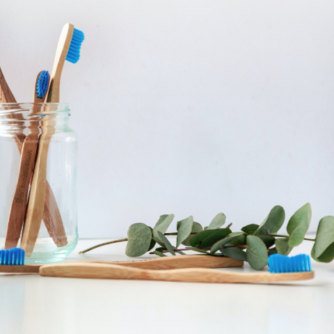 Photo by the humble co on Unsplush