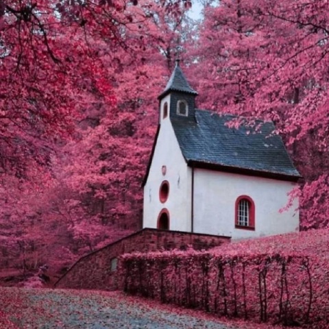 Gregory Kom @momentsofgregory