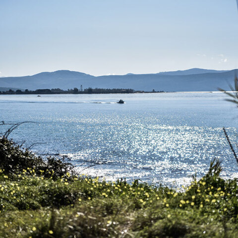 Ηλιοφάνεια στην Πρέβεζα