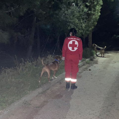 Ερυθρός Σταυρός: Εθελοντές βγάζουν βόλτα το σκυλάκι σας  