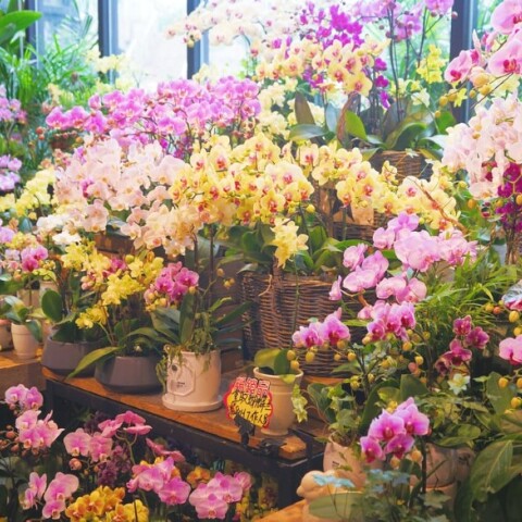 Ανθοπωλείο