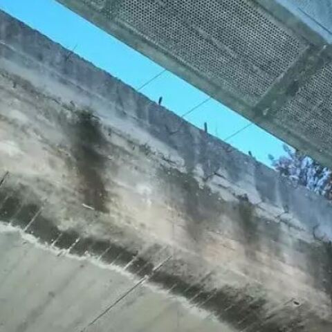 Κρέμασαν σκύλο σε γέφυρα στα Χανιά