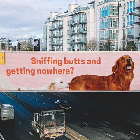 Η παραμυθένια ζωή του τετράποδου Σταύρου