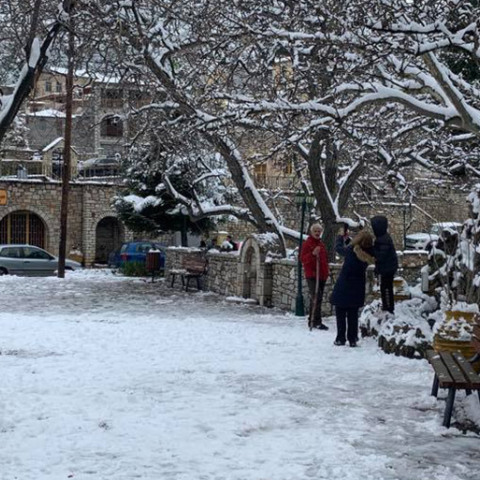ΑΡΧΕΙΟ - ΑΡΓΟΛΙΔΑ- ΧΙΟΝΙΑ ΣΤΗ ΚΑΡΥΑ ΚΟΛΟΚΟΤΡΩΝΙΤΣΙ 