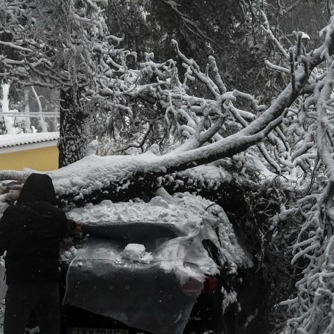 Πτώση δέντρου σε αυτοκίνητο από την κακοκαιρία