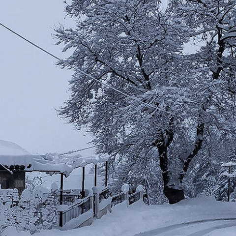 ΧΙΟΝΟΠΤΩΣΗ ΣΤΟ Ν. ΦΘΙΩΤΙΔΑΣ