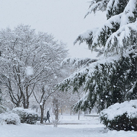 Λάρισα - χιονοπτώσεις