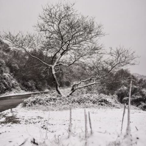  Kακοκαιρία «Μήδεια»