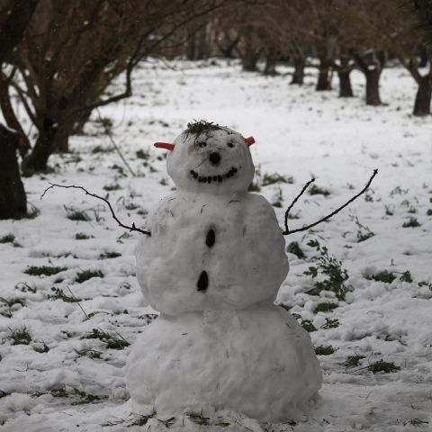 Χιονόπτωση στο Άλσος Συγγρού