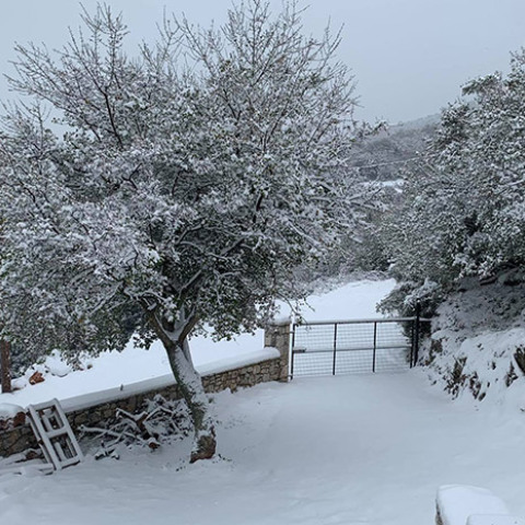 ΑΡΧΕΙΟ - Κακοκαιρία - Χιόνι