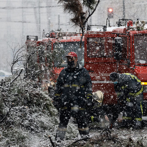 Κακοκαιρία «Μήδεια»: Πυροσβέστες κόβουν πεσμένο δέντρο στη Βασιλίσσης Σοφίας εν μέσω χιονόπτωσης