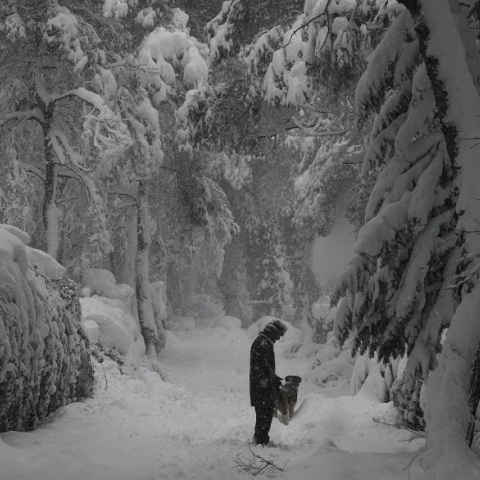 Κακοκαιρία Μήδεια