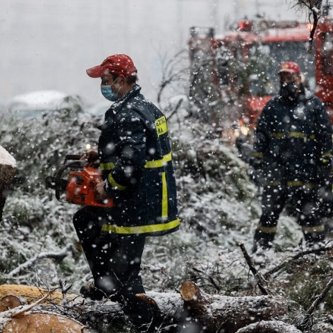 Πτώση δέντρου στην Λεωφόρο Βασιλίσσης Σοφίας