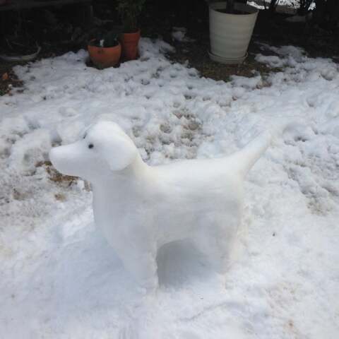 Ομοίωμα σκύλου φτιαγμένο από χιόνι