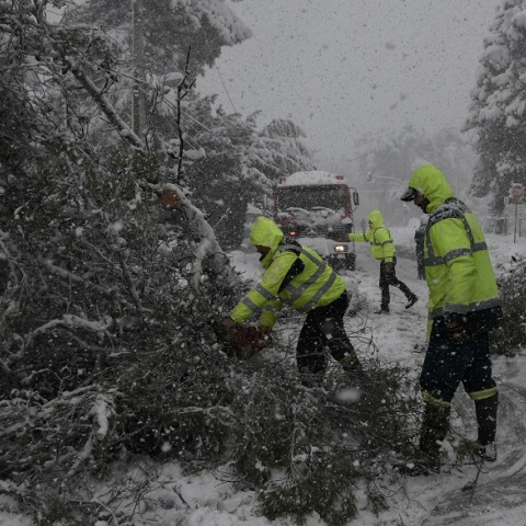 Πτώσεις δέντρων από την κακοκαιρία