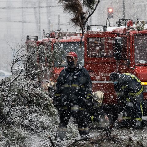 Πτώση δέντρων στην Αθήνα από την κακοκαιρία «Μήδεια»