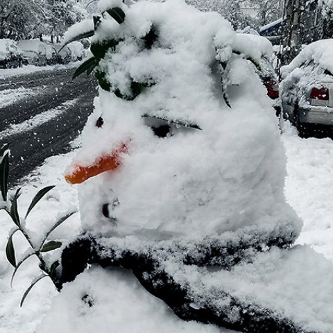  ΚΑΚΟΚΑΙΡΙΑ "ΜΗΔΕΙΑ" / ΧΙΟΝΟΠΤΩΣΗ ΣΤΑ ΤΟΥΡΚΟΒΟΥΝΙΑ