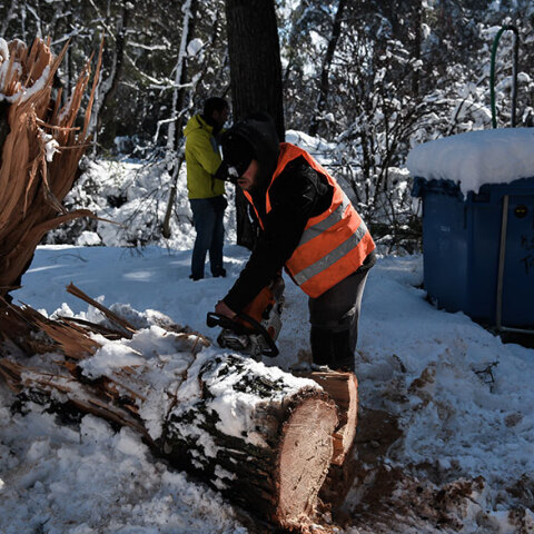 Κακοκαιρία «Μήδεια»: Κοπή πεσμένου δέντρου στον χιονισμένο Διόνυσο