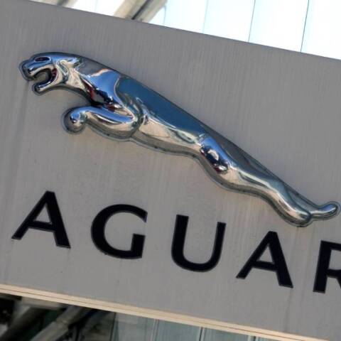Jaguar