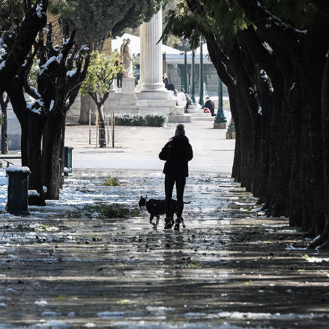 ΚΑΚΟΚΑΙΡΙΑ "ΜΗΔΕΙΑ" / Η ΕΠΟΜΕΝΗ ΜΕΡΑ ΣΤΟ ΚΕΝΤΡΟ ΤΗΣ ΑΘΗΝΑΣ