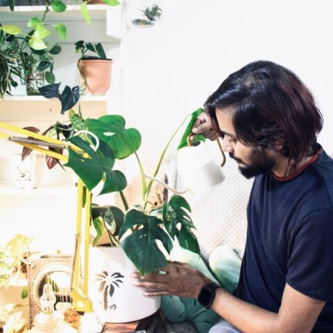 Η κηπουρική εσωτερικού χώρου βοηθά στην καταπολέμηση της μοναξιάς λόγω lockdown