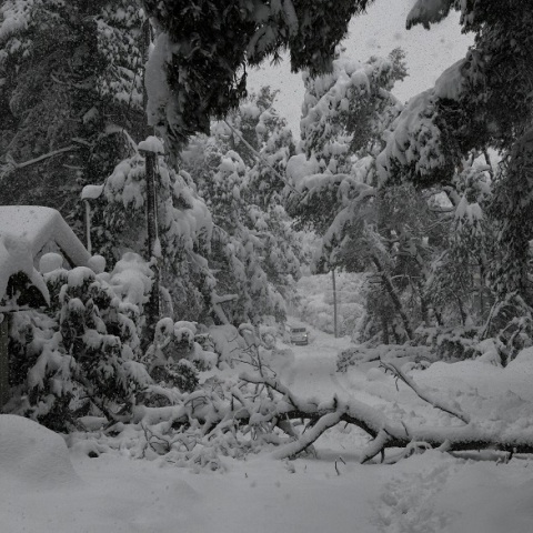 Κακοκαιρία Μήδεια
