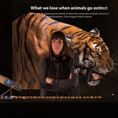 «Το Ημερολόγιο Ενός Σκύλου» της Violet Louise