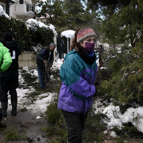 ΟΙ ΠΡΟΣΚΟΠΟΙ ΔΙΟΝΥΣΟΥ ΣΥΜΒΑΛΛΟΥΝ ΣΤΗΝ ΑΝΤΙΜΕΤΩΠΙΣΗ ΤΩΝ ΠΡΟΒΛΗΜΑΤΩΝ ΑΠΟ ΤΗΝ ΧΙΟΝΟΠΤΩΣΗ ΣΤΟΝ ΔΙΟΝΥΣΟ