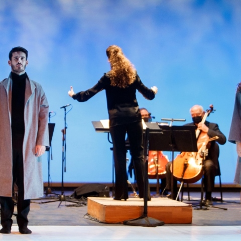 Οι Χορευτές του Βορρά χορογραφούν τη «Συμφωνία Δωματίου»