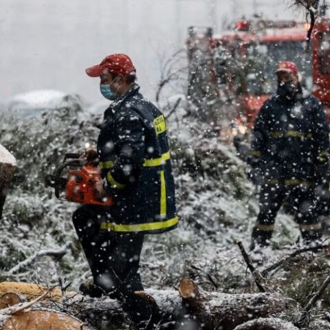Μήδεια - Πτώση δέντρου