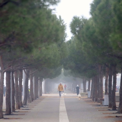 Ομίχλη στα Ηπειρωτικά