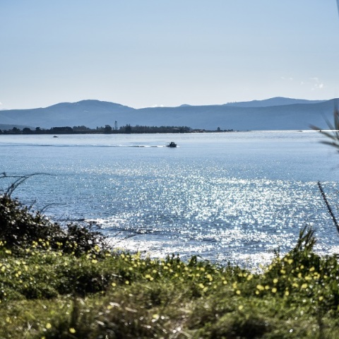 Ηλιοφάνεια 