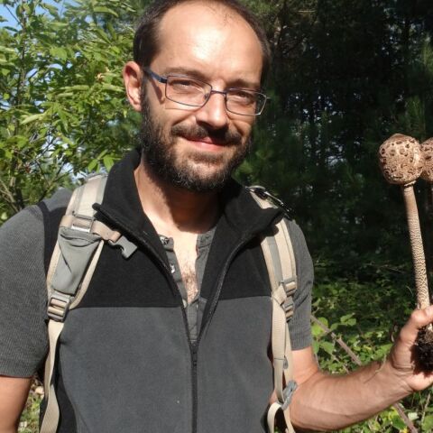 Ο Γιώργος Μάντικας είναι πιστοποιημένος συλλέκτης άγριων αυτοφυών μανιταριών