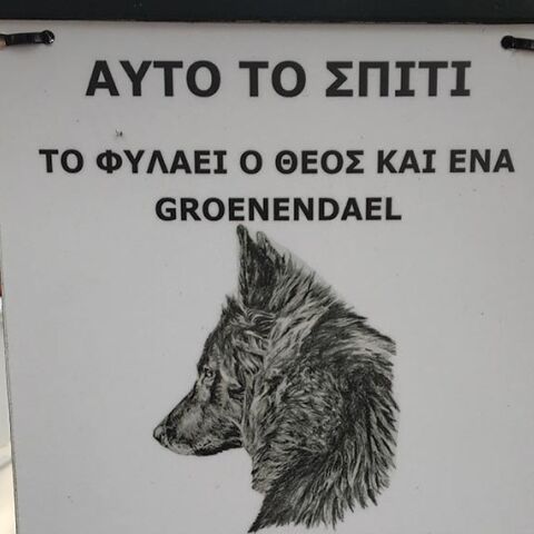 Φτιάξε μου τη μέρα 773