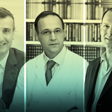 Στέλιος Λουκίδης, Παναγιώτης Γαργαλιάνος, Ηλίας Παπαθεοδώρου