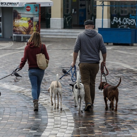 Ζώα συντροφιάς: Βόλτα στο κέντρο της Αθήνας
