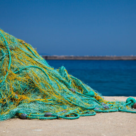 Δίχτυα ψαρέματος - Αδειάζει από ψάρια η Μεσόγειος - Τι αναφέρει σε έκθεσή του το WWF