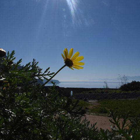 Αίθριος ο καιρός την Παρασκευή 25 Φεβρουαρίου 2021, σύμφωνα με την ΕΜΥ