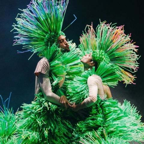 Οι «Τέσσερις εποχές» του Αντόνιο Βιβάλντι έρχονται στην GNO TV