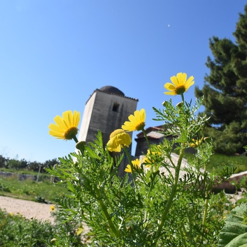 Ηλιοφάνεια