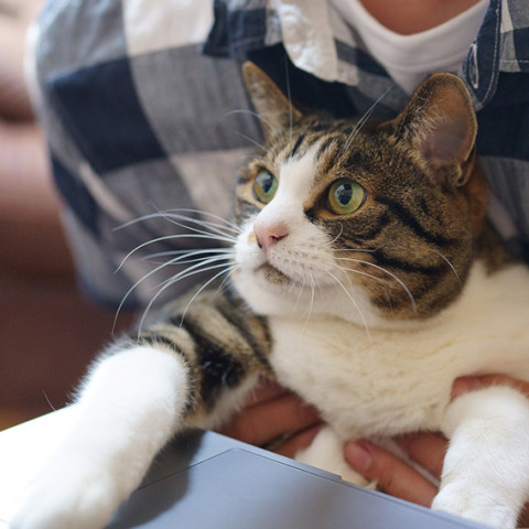 Εργασία σε υπολογιστή