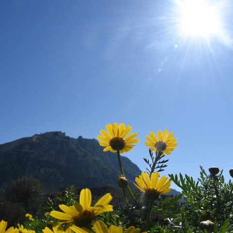 Αίθριος καιρός 