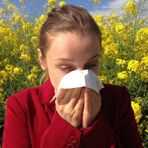 τρόποι να αντιμετωπίσεις φυσικά τις αλλεργίες σου