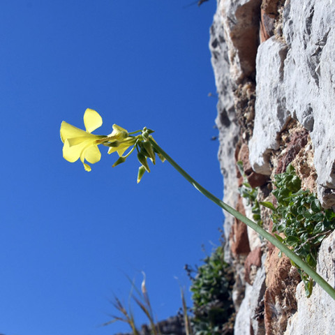 ΑΡΓΟΛΙΔΑ - ΚΑΙΡΟΣ