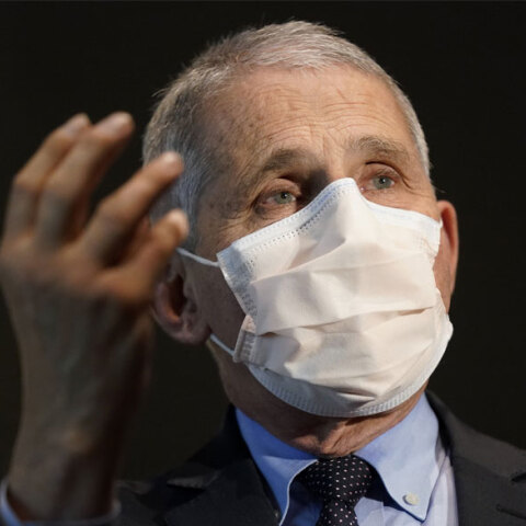 Άντονι Φάουτσι