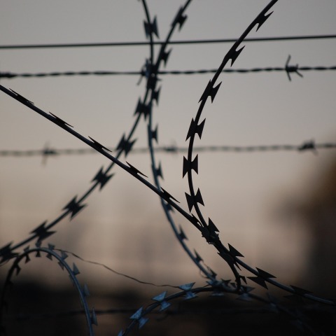 barbed-wire-765484_1920.jpg