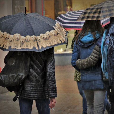 Βροχερός ο καιρός την Κυριακή 7 Μαρτίου 2021