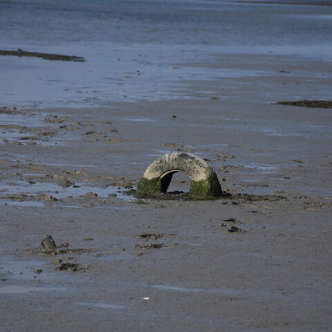 Υποχώρησε η θάλασσα - Η άμπωτη στον Αργολικό κόλπο σε Ναύπλιο και Νέα Κίο